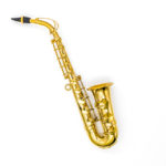 Best Cheap Saxophone